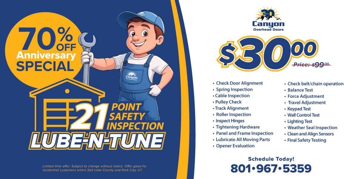 70% Off Special Garage Door Lube N Tune Up